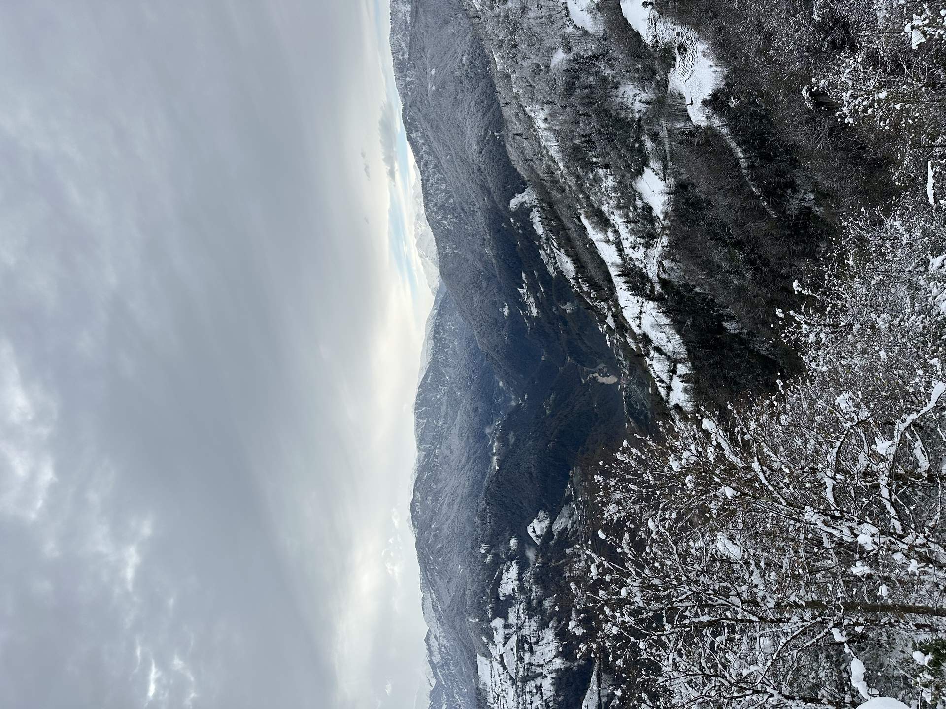 Şelale